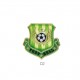 Blason sport or