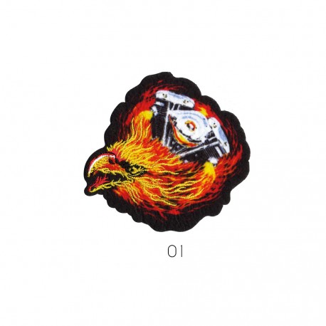 Aigle en feu - Aigle