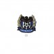 Football champion - Bleu royal