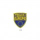 Blason team pays - Team europe