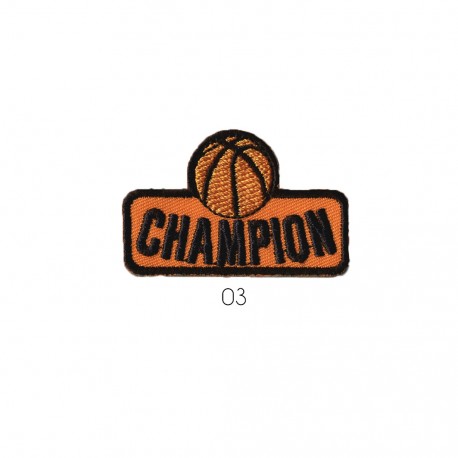 Ecusson champion 3x5 - Basket