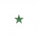 Ecusson etoile brillant - Vert
