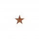 Ecusson etoile brillant - Cuivre