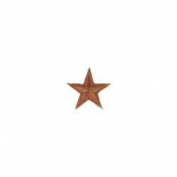 Ecusson etoile brillant - Cuivre