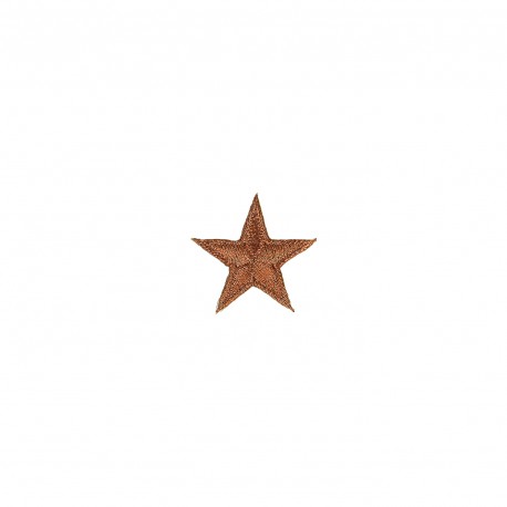 Ecusson etoile brillant - Cuivre