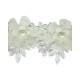 Dentelle fleurs & perles