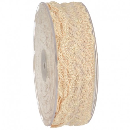 Dentelle brodee sur tulle