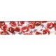 Br roses 25/1212