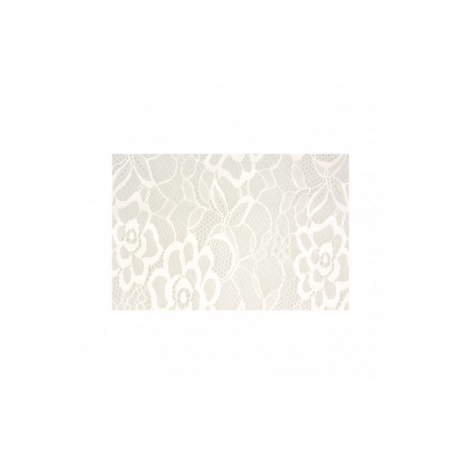 Tissu Dentelle Grande Laize Blanc