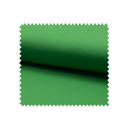 Tissu Jersey Luxe Uni Gazon