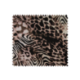 Tissu Imprimé Animal Noir marron 