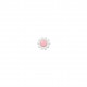 Bouton marguerite