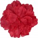 Fleur pivoine/broche