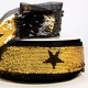 Galon paillettes revers