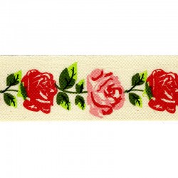 Ruban roses 25 mm Roses multi - 