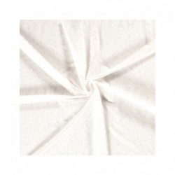 Tissu Dentelle Fleur Blanc Cassé