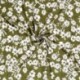 Tissu Crêpe Fleur Kaki 