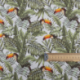 Tissu Popeline Tropic Imprimé Toucan