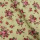 Tissu Popeline Rose Fond vert