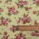 Tissu Popeline Rose Fond vert