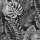 Tissu Coton Lourd Botanique Noir