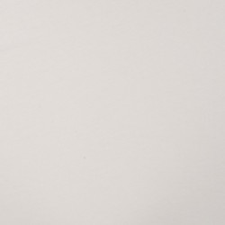 Tissu Jersey Coton Blanc
