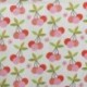 Tissu Cretonne Enduite Cerise Multico 