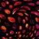 Tissu Jersey Viscose Imprimé Fuchsia