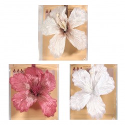 Magnet hibiscus