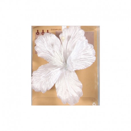 Magnet hibiscus