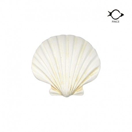 Clip coquillage blanc