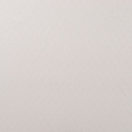 Tissu Jersey Ajouré Blanc 