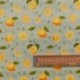Tissu Enduit Imprimé Fruities Vert