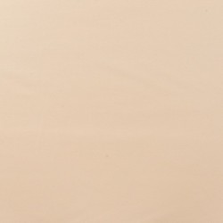 Tissu Jersey Nylon Punta Beige 