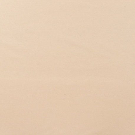 Tissu Jersey Nylon Punta Beige 