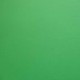 Tissu Burlington Uni Grande Largeur Vert 