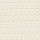 Tissu Starlette Coton 57fils Curry 