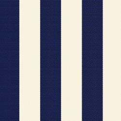 Tissu Jacquard Allover Burton Rayure Indigo 