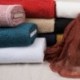 Broderie Sur Tulle Beige