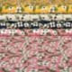 Tissu Coton Imprimé Pluie de Fleurs Jaune 