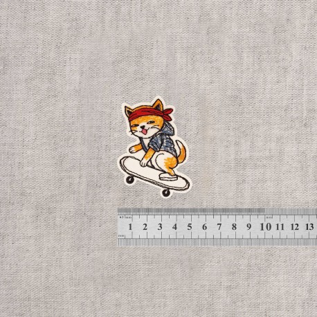 Ecusson chat ado - Skateur