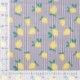Tissu Coton Elasthane Imprimé Citron 