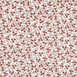 Tissu Enduit Jenna Rouge