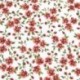 Tissu Enduit Jenna Rouge