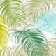 Tissu Enduit Palma Vert