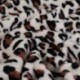 Tissu Polaire Imprimé Leopard Sable