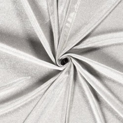 Tissu Jersey Lurex Argent