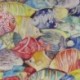 Tissu Toile Outdoor Imprimé Caribe Poissons