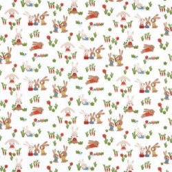 Tissu Coton Imprimé Boosty Multicolore