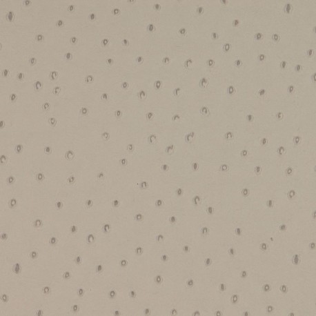 Tissu Autruche Simili Taupe 